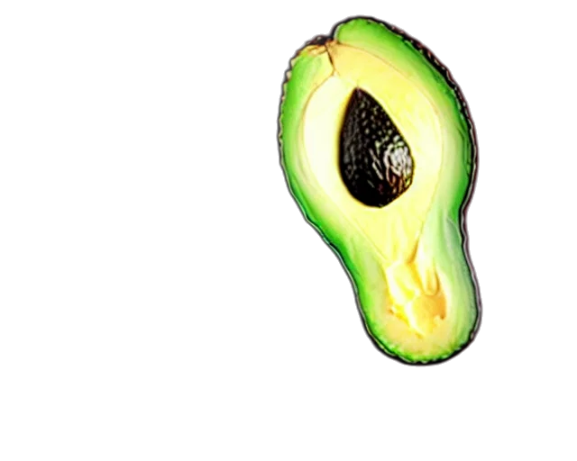 food, hat, shoes, animal transparent PNG cut-out