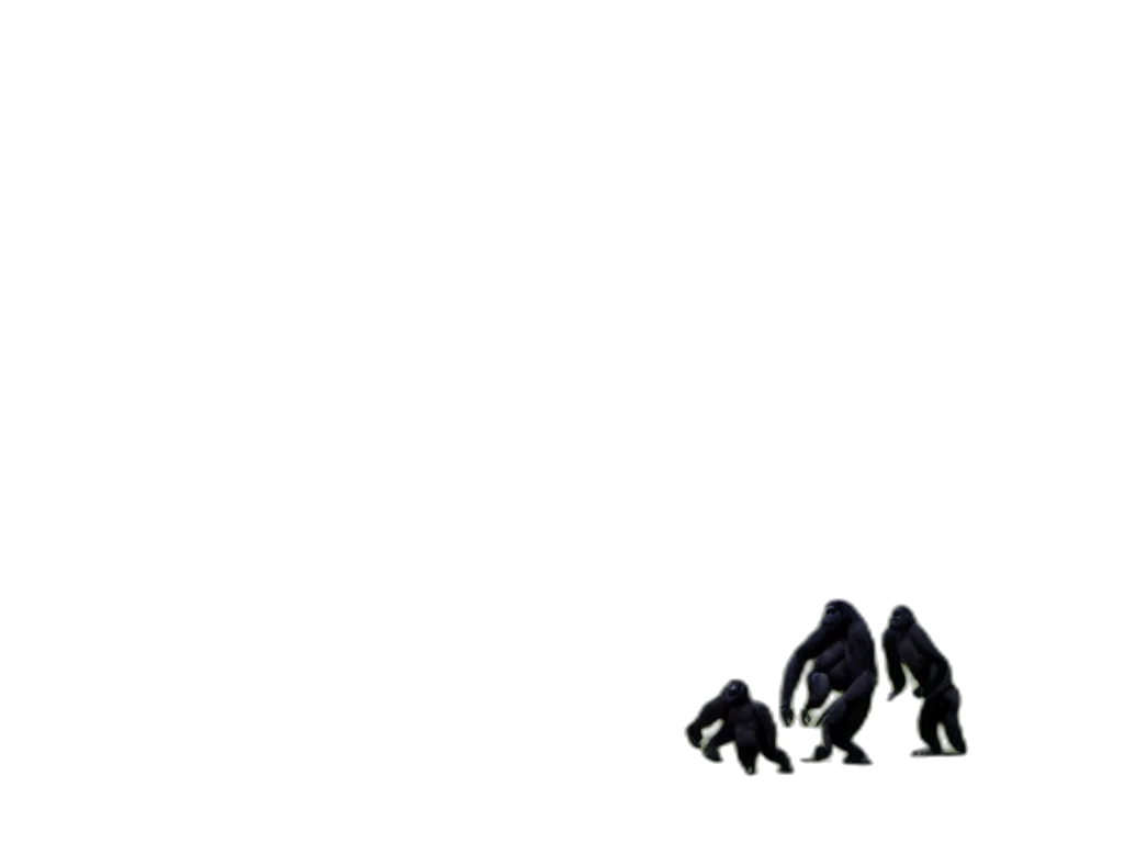 animal, creature, shoes, robot transparent PNG cut-out