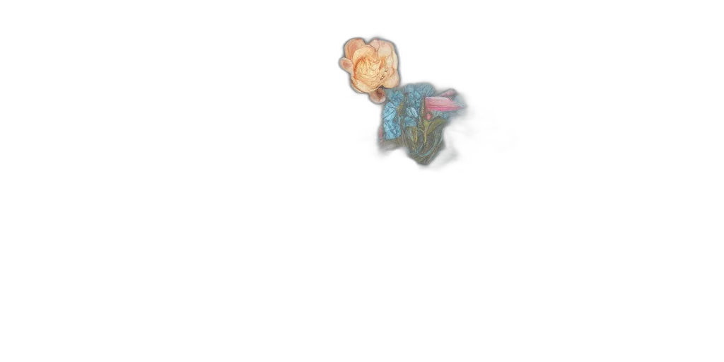 flower, jacket, robot, weapon transparent PNG cut-out