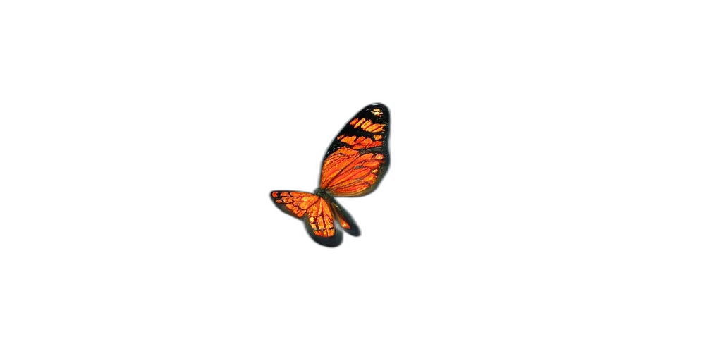 animal, creature, flower, crown transparent PNG cut-out
