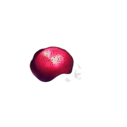food, flower, tree, bottle transparent PNG cut-out