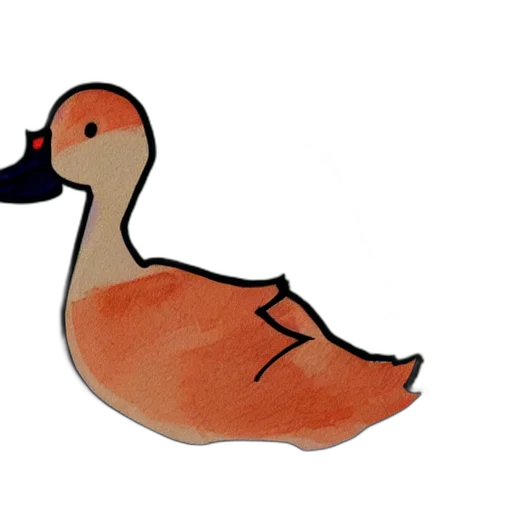 animal, creature, food, hat transparent PNG cut-out