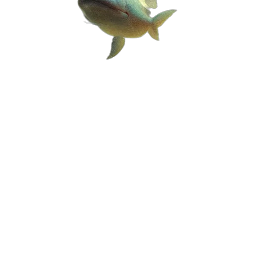 creature, animal, staff, weapon transparent PNG cut-out