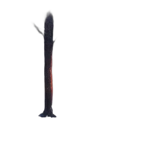 staff, sword, weapon, animal transparent PNG cut-out