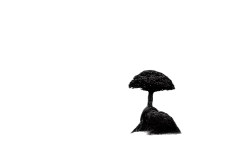 umbrella, hat, tree, crown transparent PNG cut-out