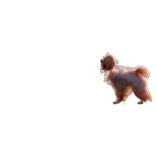 animal, creature, hair, staff transparent PNG cut-out