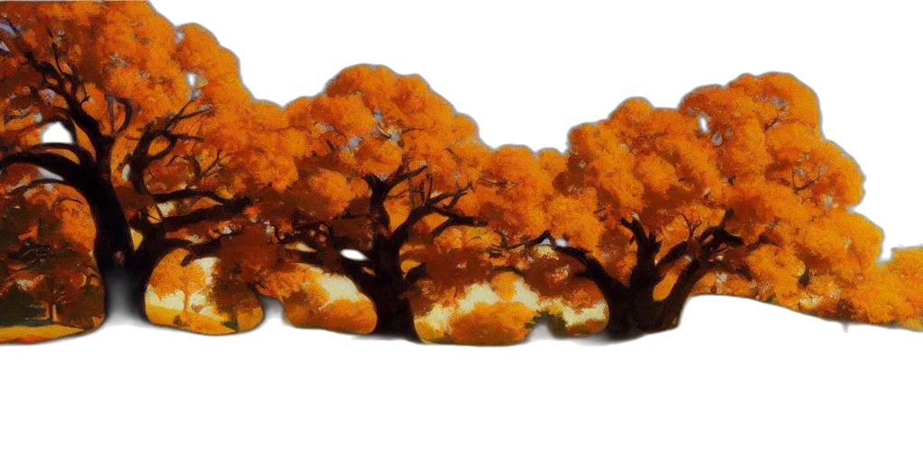 tree, crown, shoes, hat transparent PNG cut-out