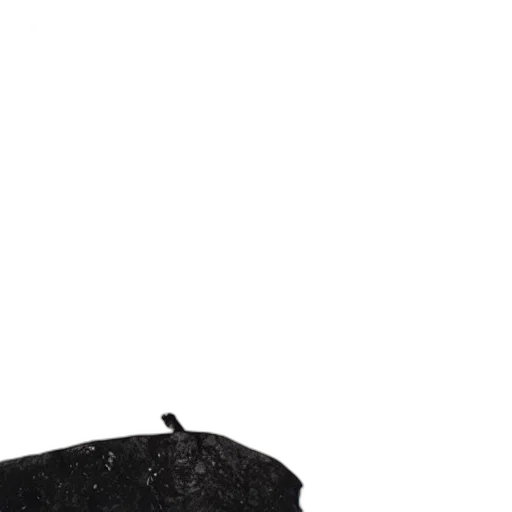hat, shoes, staff, animal transparent PNG cut-out