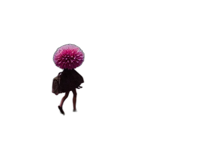 flower, hair, umbrella, hat transparent PNG cut-out