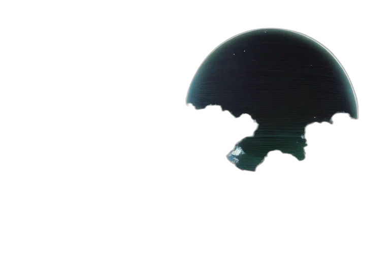 hat, mask, crown, hair transparent PNG cut-out
