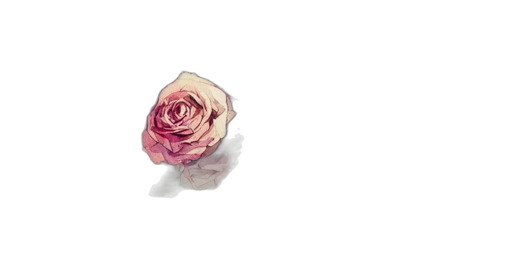 flower, crown, jewelry, weapon transparent PNG cut-out