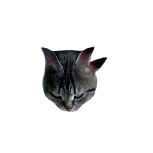 animal, mask, creature, face transparent PNG cut-out