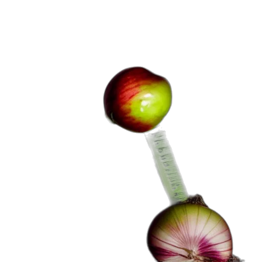 staff, food, weapon, flower transparent PNG cut-out