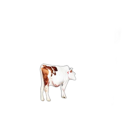animal, food, creature, jewelry transparent PNG cut-out