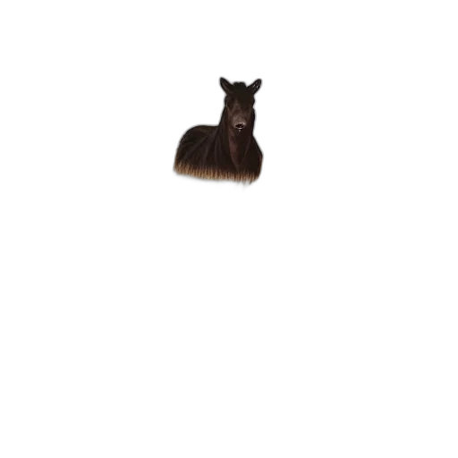 hair, animal, creature, hat transparent PNG cut-out