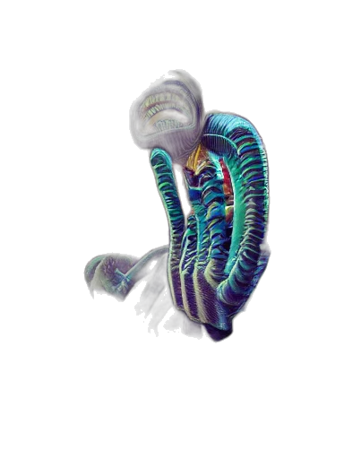 creature, jewelry, hair, animal transparent PNG cut-out
