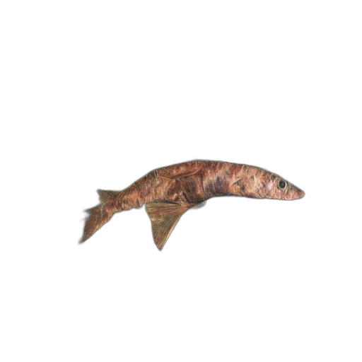 animal, weapon, staff, creature transparent PNG cut-out