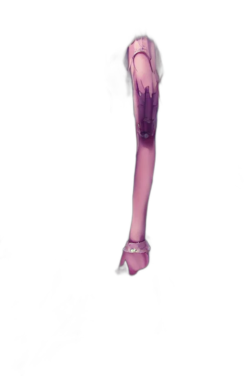 dress, staff, shoes, creature transparent PNG cut-out