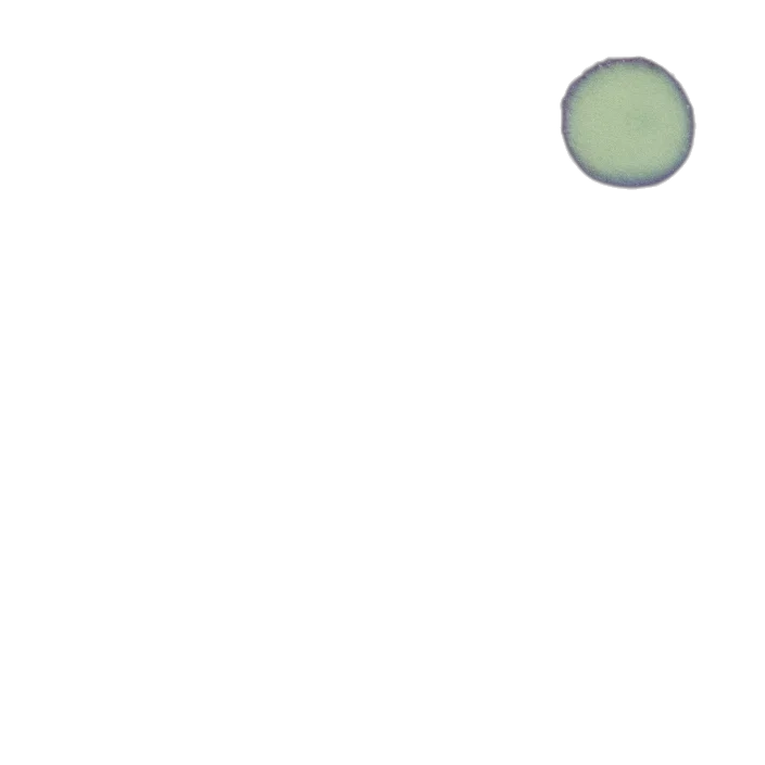 hat, robot, staff, weapon transparent PNG cut-out