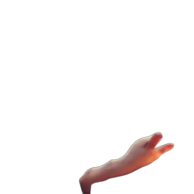 creature, staff, animal, hair transparent PNG cut-out
