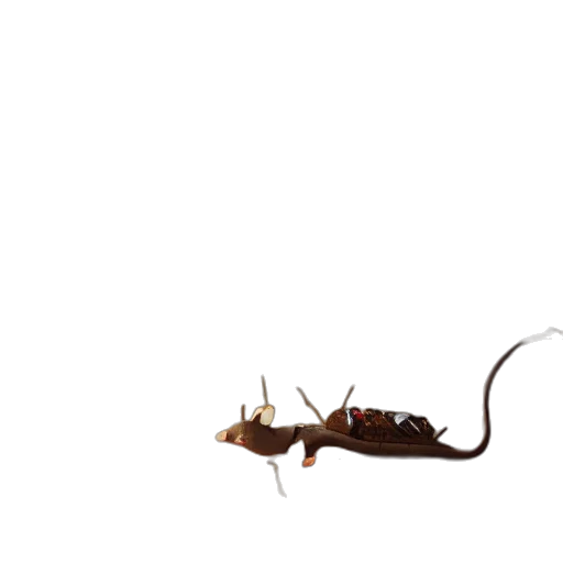 animal, creature, dragon, staff transparent PNG cut-out