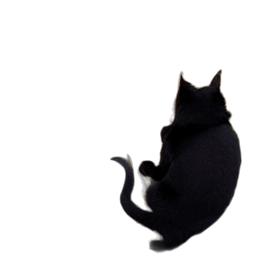 animal, creature, hat, staff transparent PNG cut-out