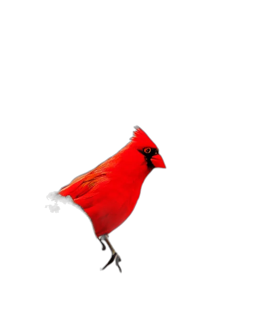 animal, hat, dress, staff transparent PNG cut-out
