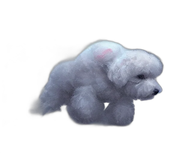 creature, animal, dragon, hair transparent PNG cut-out