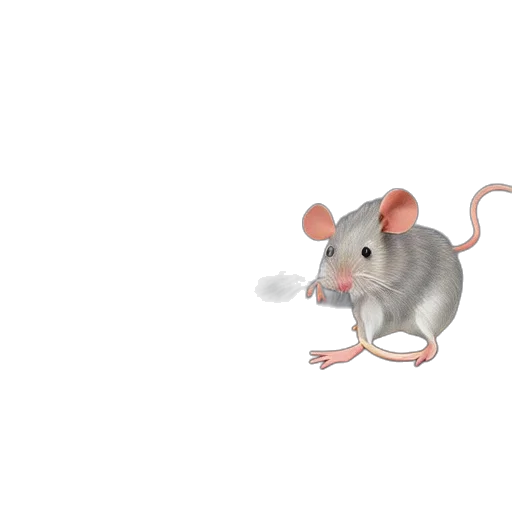 animal, creature, food, weapon transparent PNG cut-out
