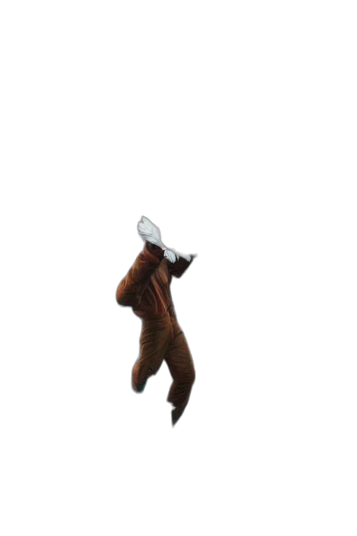 animal, creature, hair, staff transparent PNG cut-out