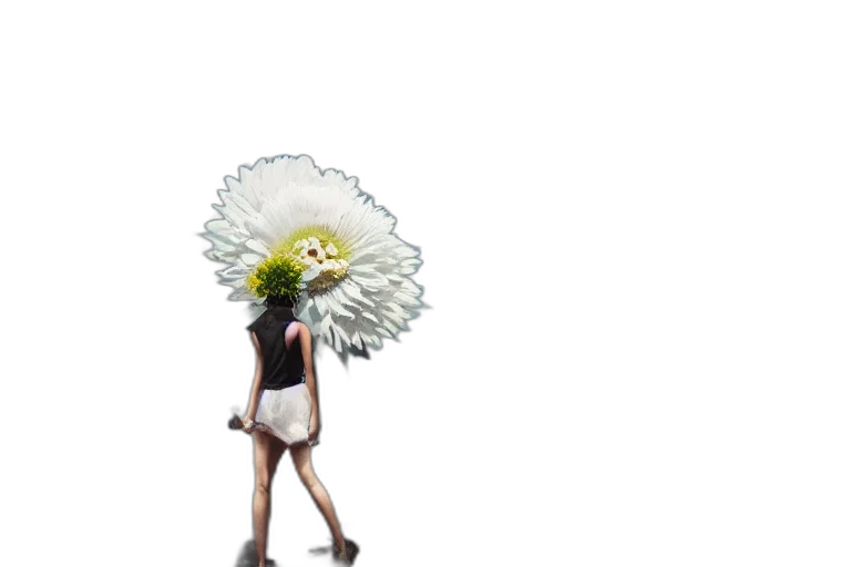 flower, hat, dress, staff transparent PNG cut-out