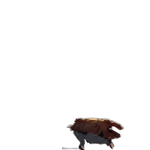 animal, creature, hair, weapon transparent PNG cut-out