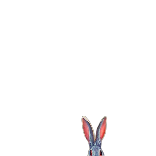 animal, creature, hat, shoes transparent PNG cut-out