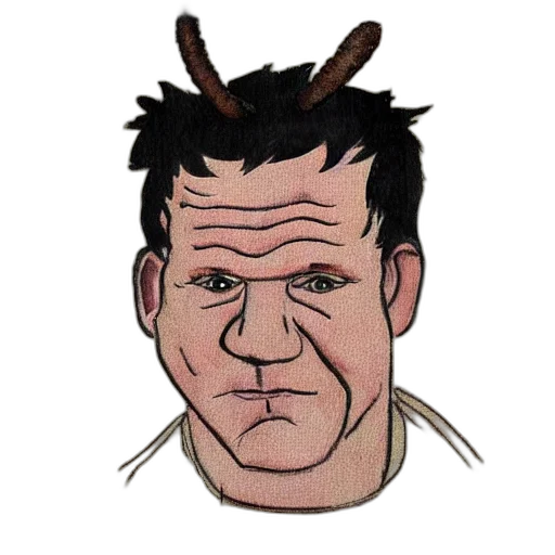 face, animal, creature, crown transparent PNG cut-out