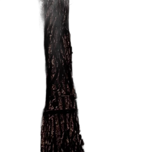 hair, staff, tree, sword transparent PNG cut-out