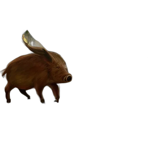 animal, creature, hat, hair transparent PNG cut-out