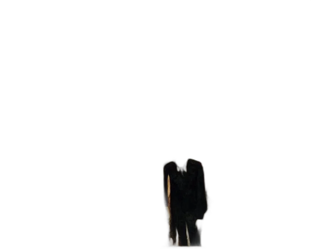 staff, hair, shoes, jacket transparent PNG cut-out