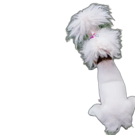 staff, animal, creature, hair transparent PNG cut-out