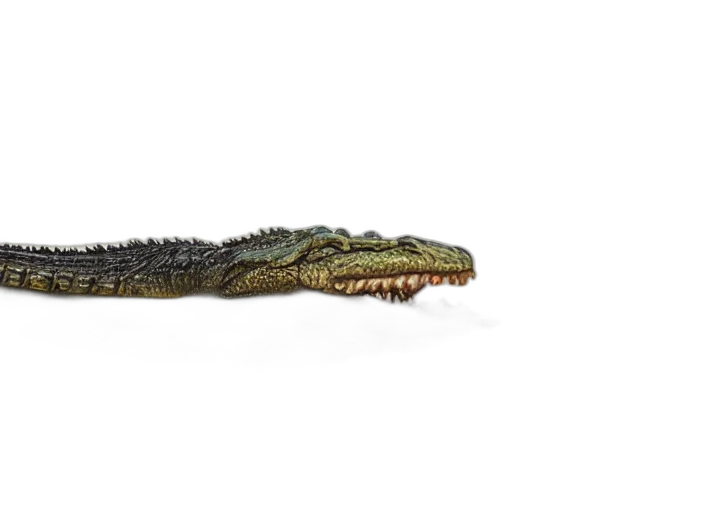 dragon, animal, creature, staff transparent PNG cut-out