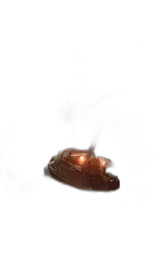 shoes, food, dragon, hair transparent PNG cut-out
