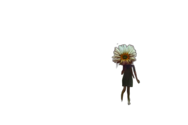 flower, umbrella, staff, dress transparent PNG cut-out