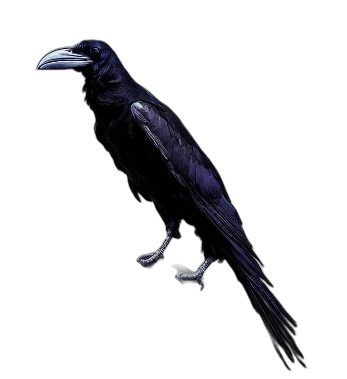 animal, staff, creature, jewelry transparent PNG cut-out