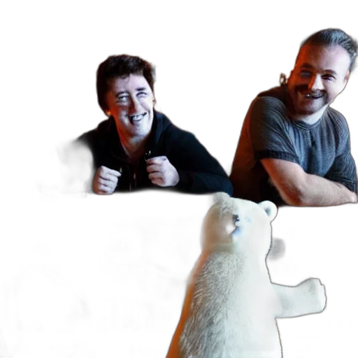 staff, animal, polar, bear transparent PNG cut-out