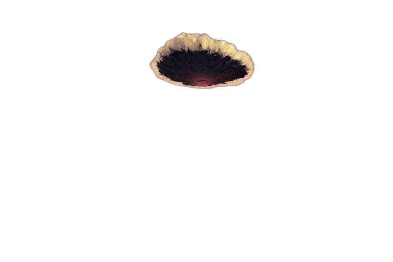 crown, hat, food, hair transparent PNG cut-out