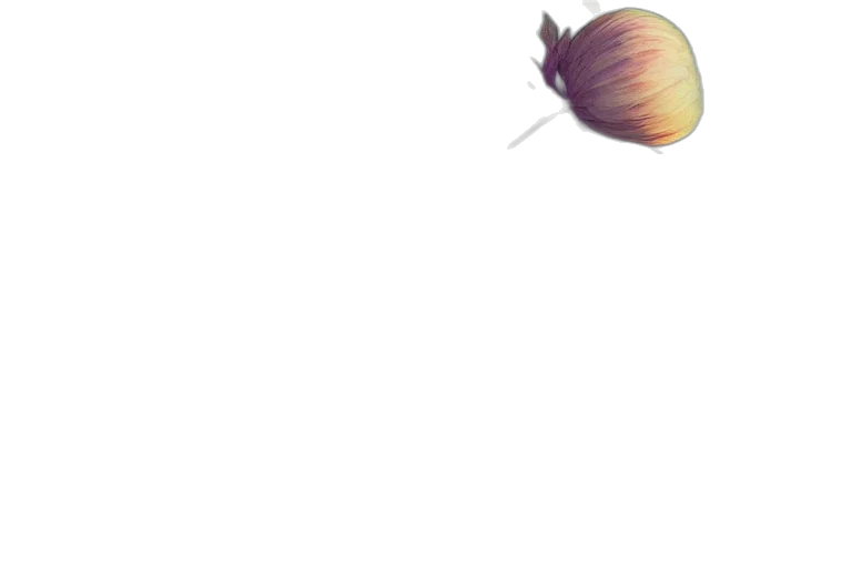 hair, staff, flower, hat transparent PNG cut-out