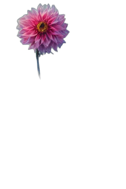flower, crown, staff, umbrella transparent PNG cut-out