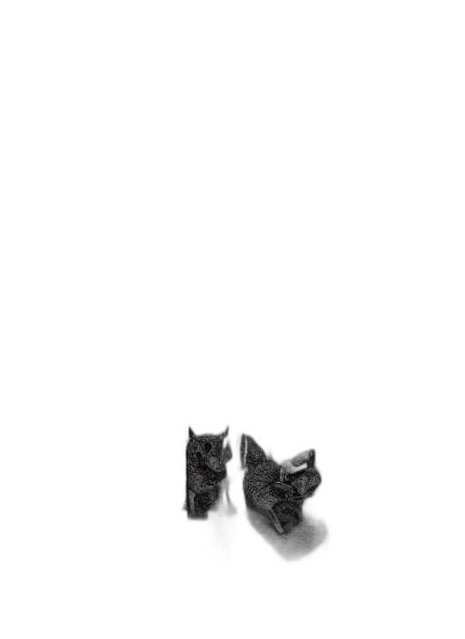 shoes, jewelry, animal, mask transparent PNG cut-out