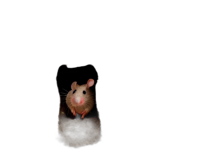 hat, animal, creature, jacket transparent PNG cut-out