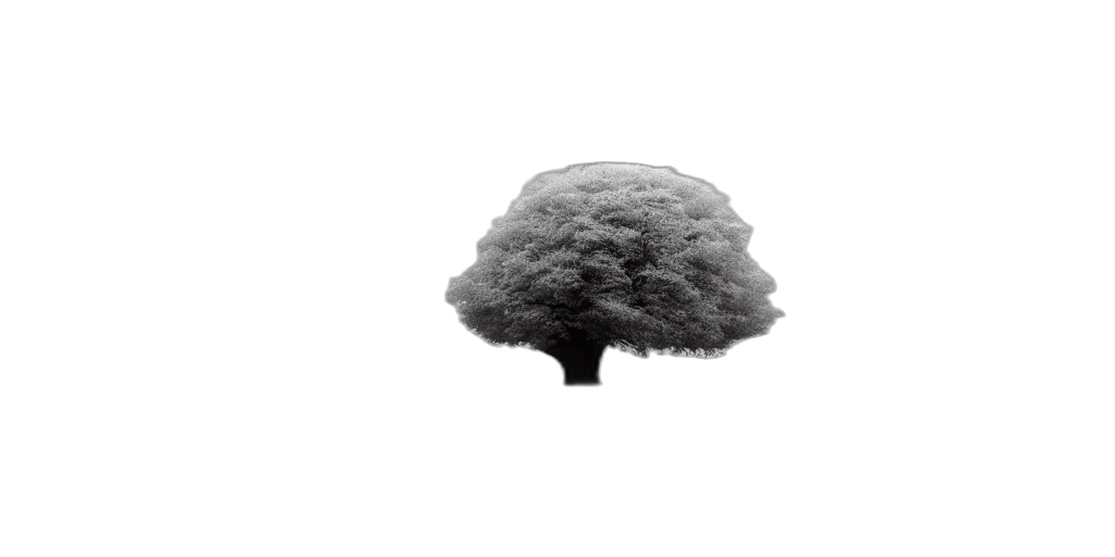 tree, hat, crown, umbrella transparent PNG cut-out