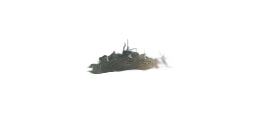 dragon, hair, crown, creature transparent PNG cut-out